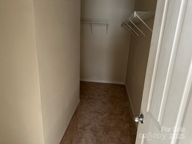 spacious closet with dark carpet