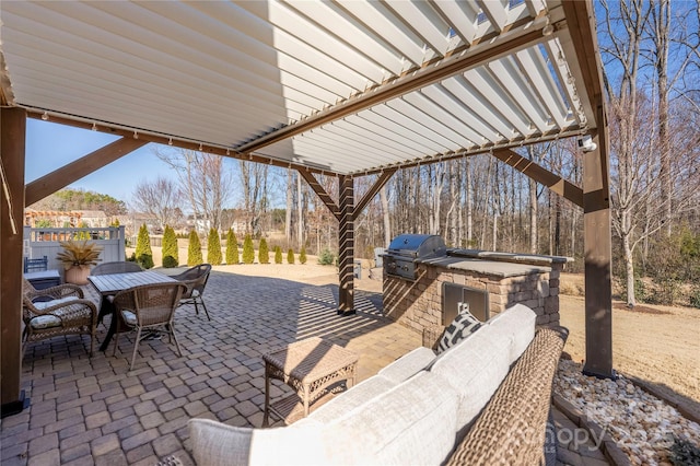 view of patio / terrace with outdoor dining area, an outdoor kitchen, and area for grilling