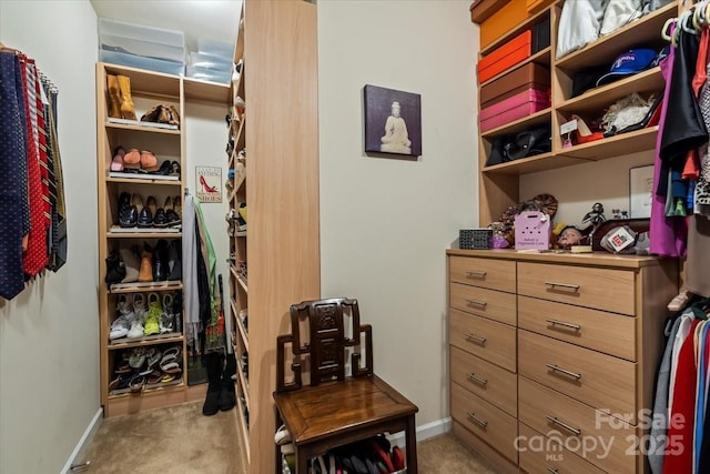 spacious closet with light colored carpet