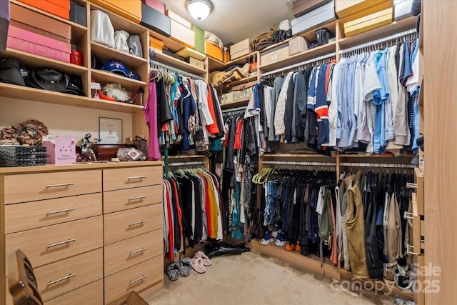 spacious closet with carpet floors