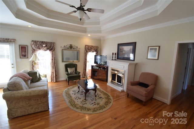 living area featuring a tray ceiling, a fireplace, wood finished floors, and a healthy amount of sunlight