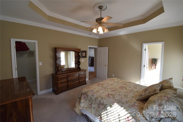 bedroom featuring baseboards, a tray ceiling, crown molding, carpet flooring, and a closet