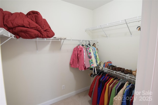 walk in closet with carpet flooring