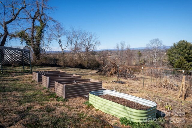 view of yard with a garden