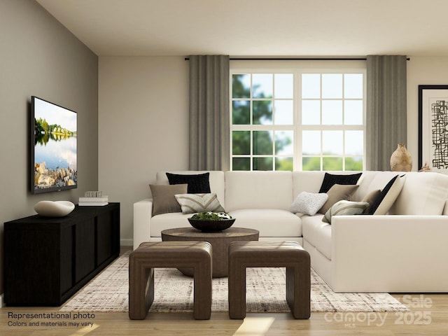 living room featuring wood finished floors