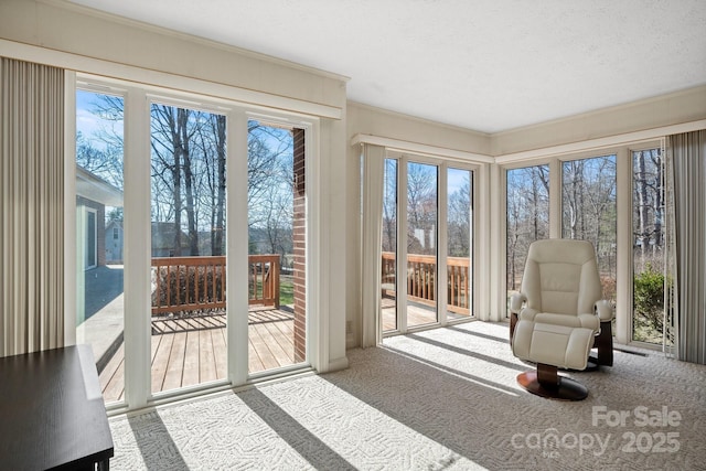 view of sunroom