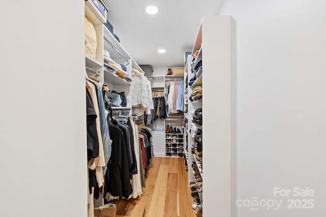 spacious closet with light wood-type flooring