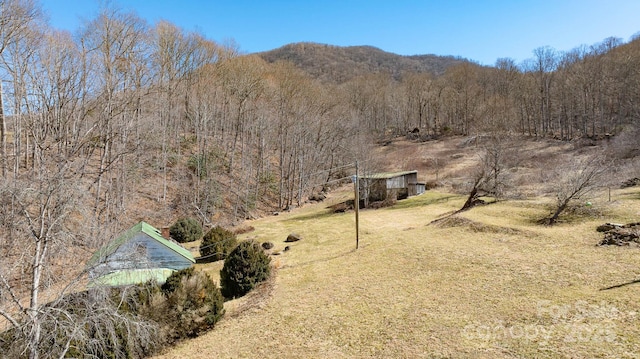 view of yard with a wooded view