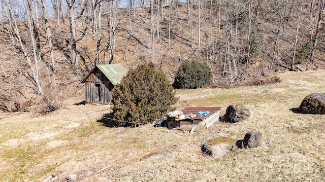 view of yard featuring an outdoor structure and a storage unit