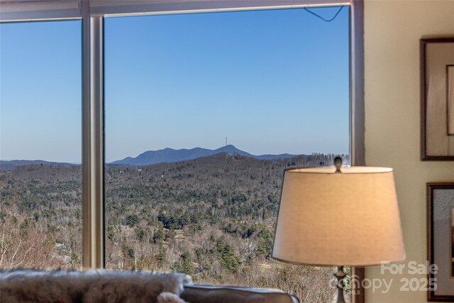 view of mountain feature featuring a wooded view