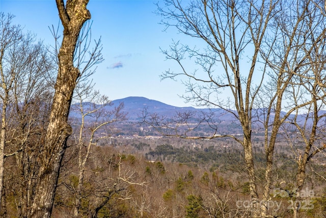 property view of mountains featuring a wooded view