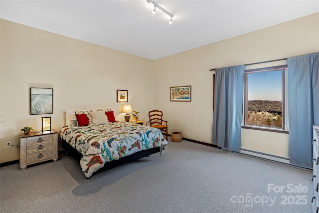 bedroom featuring baseboards, carpet, and track lighting