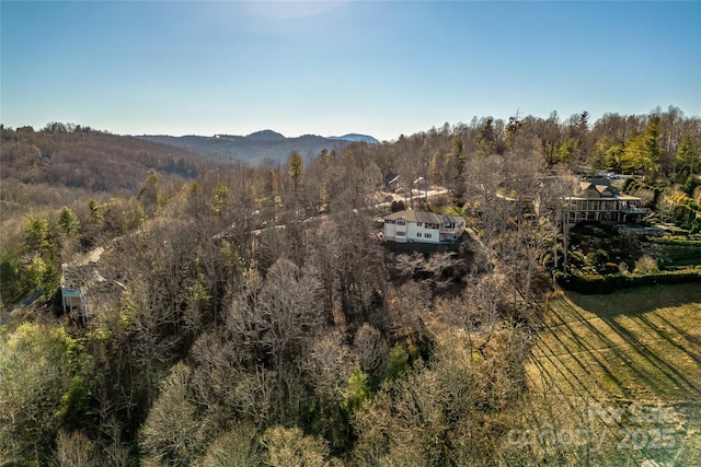 view of mountain feature with a forest view