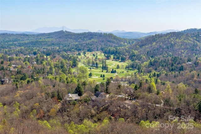 view of mountain feature featuring a wooded view