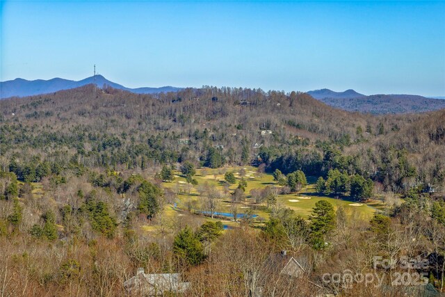 property view of mountains with a forest view