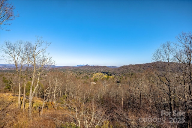 property view of mountains