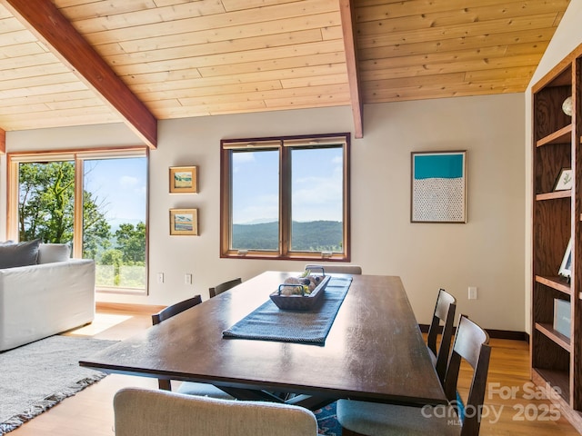 705 Overlook Dr, Flat Rock, NC 28731 - photo 8