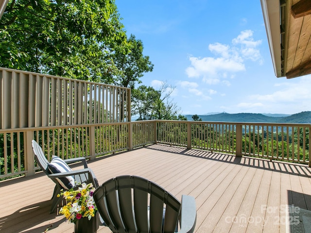 705 Overlook Dr, Flat Rock, NC 28731 - photo 9