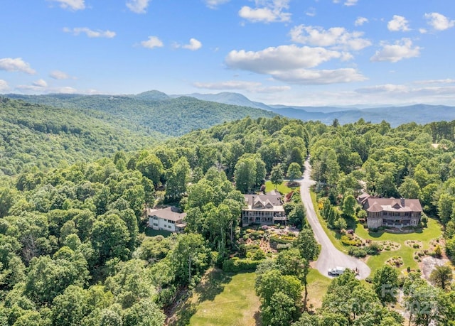 705 Overlook Dr, Flat Rock, NC 28731 - photo 30