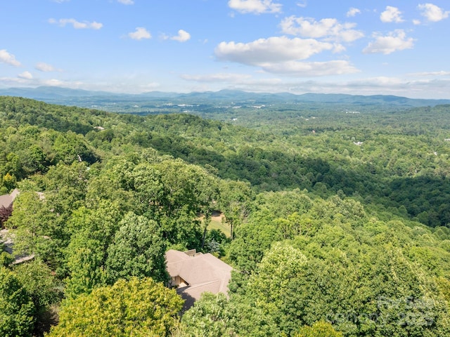 705 Overlook Dr, Flat Rock, NC 28731 - photo 31