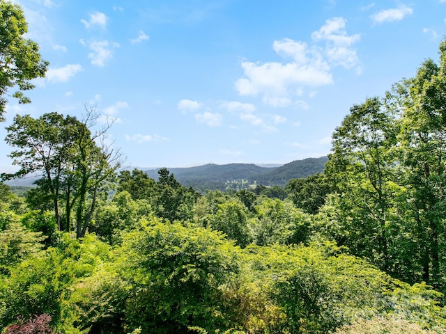705 Overlook Dr, Flat Rock, NC 28731 - photo 32