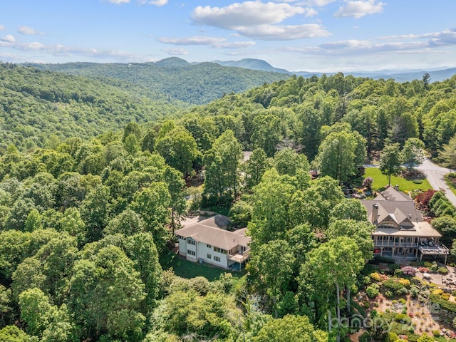 705 Overlook Dr, Flat Rock, NC 28731 - photo 33
