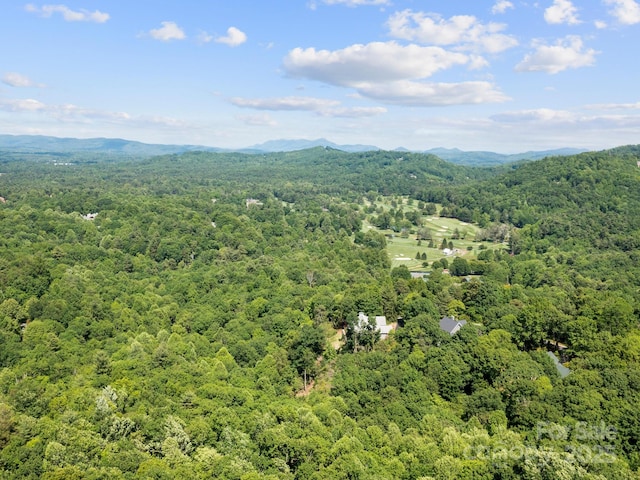 705 Overlook Dr, Flat Rock, NC 28731 - photo 36