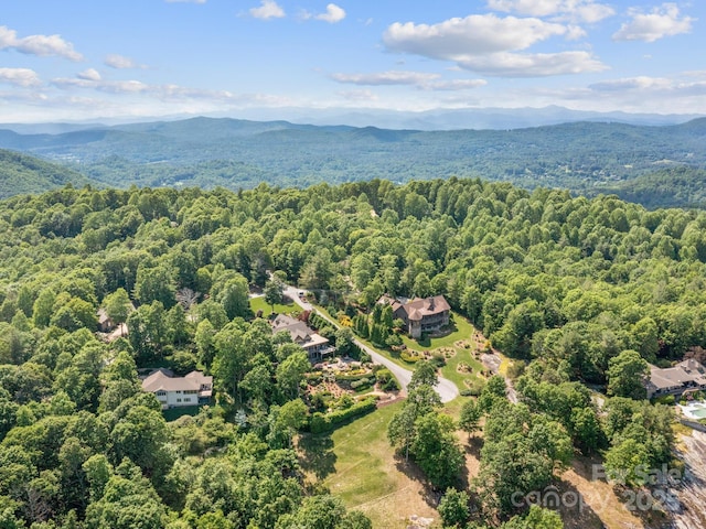 705 Overlook Dr, Flat Rock, NC 28731 - photo 37