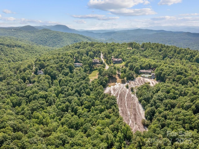 705 Overlook Dr, Flat Rock, NC 28731 - photo 38