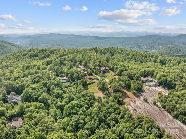 705 Overlook Dr, Flat Rock, NC 28731 - photo 39