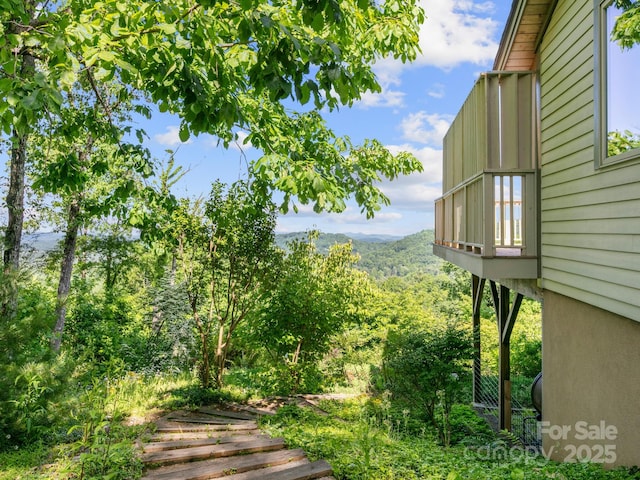 705 Overlook Dr, Flat Rock, NC 28731 - photo 40
