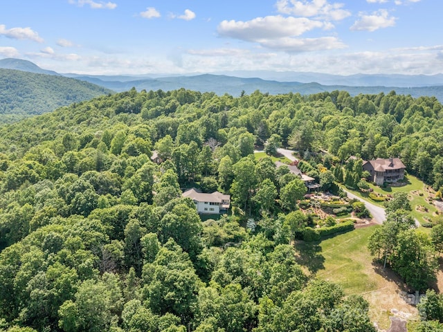705 Overlook Dr, Flat Rock, NC 28731 - photo 41