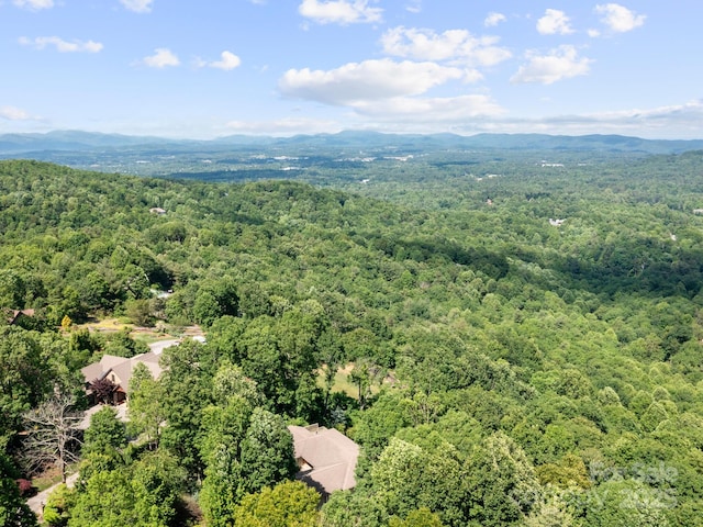 705 Overlook Dr, Flat Rock, NC 28731 - photo 42