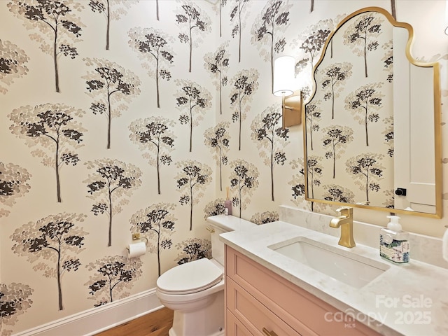 bathroom featuring vanity, toilet, and wood finished floors