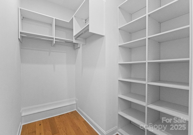 spacious closet featuring wood finished floors