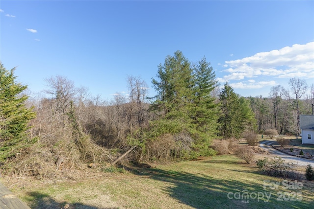 182 Louisiana Ave, Saluda, NC 28773 - photo 44