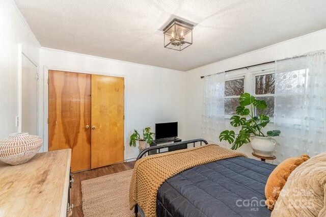 bedroom featuring wood finished floors