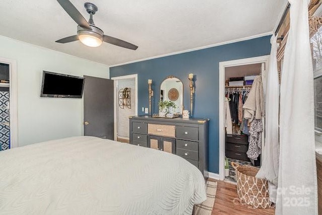 bedroom featuring ceiling fan, wood finished floors, a spacious closet, a closet, and crown molding