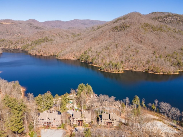 bird's eye view featuring a forest view and a water and mountain view