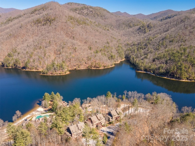 bird's eye view featuring a view of trees and a water and mountain view