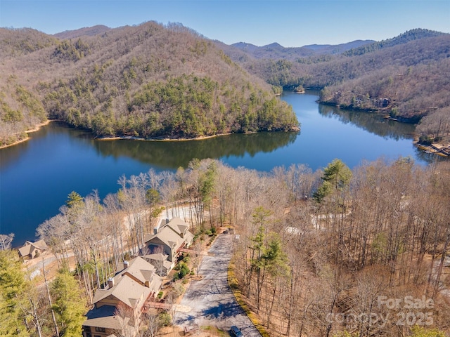 drone / aerial view with a forest view and a water and mountain view