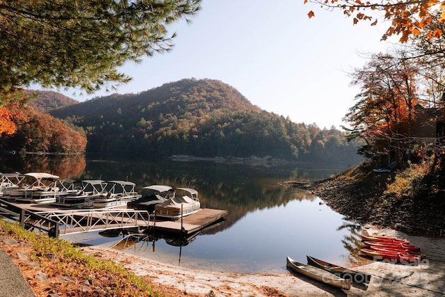 dock area with a forest view and a water and mountain view