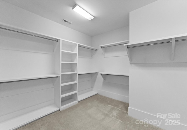 spacious closet featuring visible vents and carpet flooring