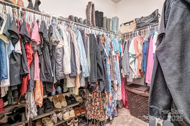 spacious closet with carpet flooring