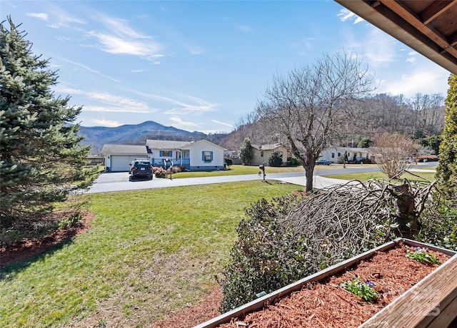 view of yard with a garden, a mountain view, and driveway