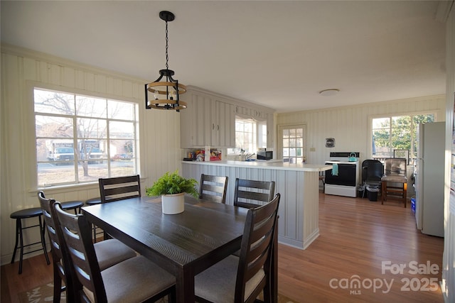 dining area featuring dark wood-style flooring and a wealth of natural light