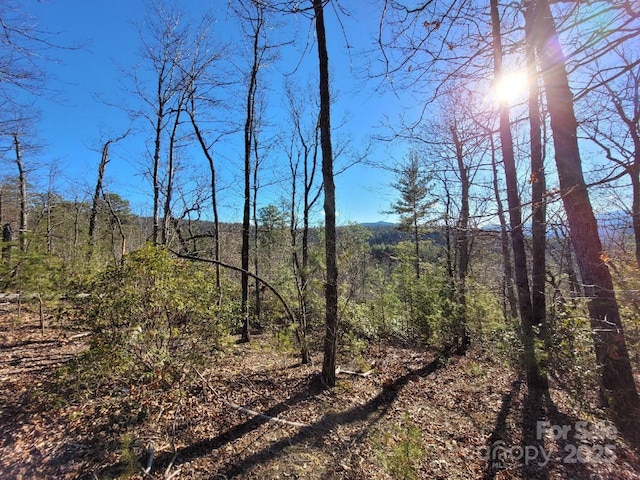 LOT104 Jean Dr, Marion NC, 28752 land for sale