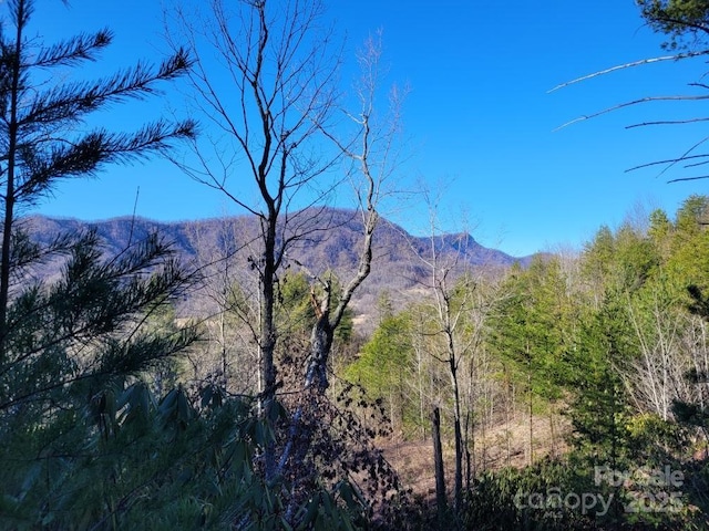 Listing photo 2 for LOT104 Jean Dr, Marion NC 28752