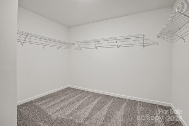13744 Roderick Dr Unit 173, Huntersville, NC 28078 - walk in closet featuring carpet