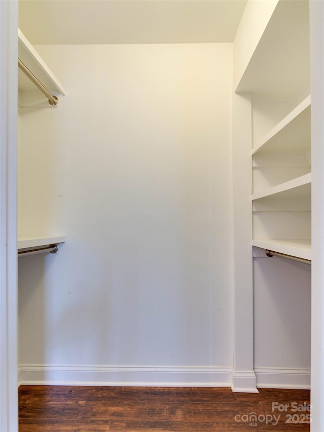 walk in closet with dark wood-type flooring